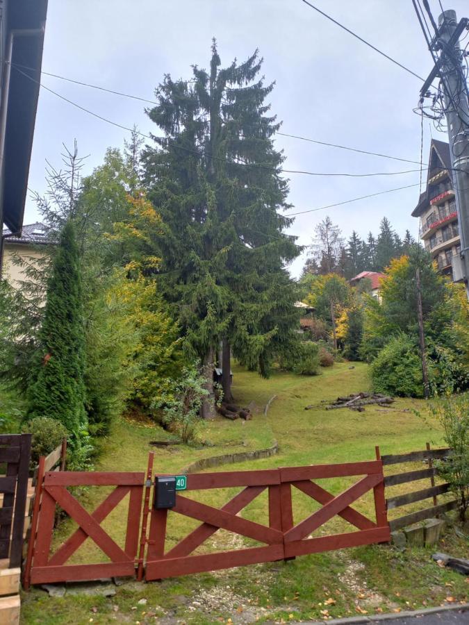 Appartamento Apartament Aosta Central Sinaia Esterno foto